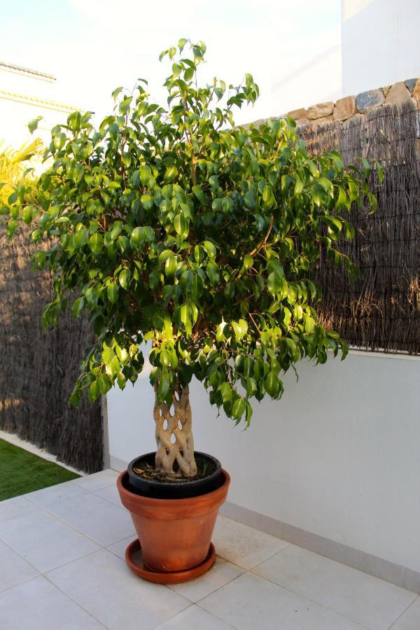 Vila Casa Laura Orihuela Exteriér fotografie